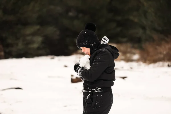Мальчик Играет Снежной Зимней Стране Чудес — стоковое фото