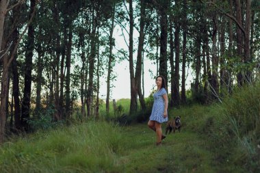 Güzel bir ormanda gün batımında güzel bir Amerikan Bulldog 'uyla batan kadın.