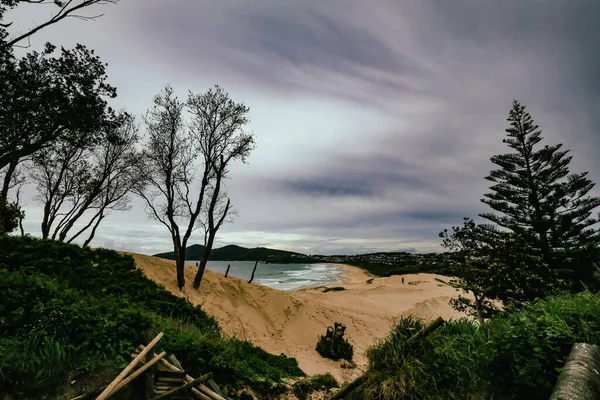 View Top Sand Dune One Mile Beach Forster Nsw Australia — Stock Photo, Image