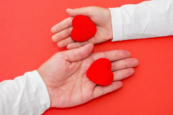 Дорослі Діти Руки Тримають Червоне Серце Охорону Здоров Кохання Дарування — стокове фото