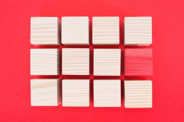 Liderlik kavramı diğer birçok küp arasında kırmızı bir küp kullanıyor. Herkes gibi değil. Özel