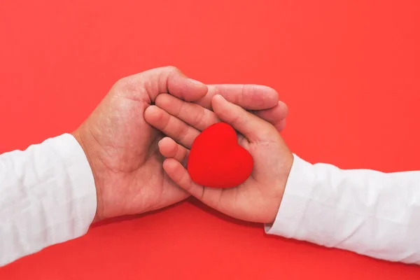 Дорослий Дитина Тримають Червоне Серце Руках Концепція Благодійності Медичного Страхування — стокове фото