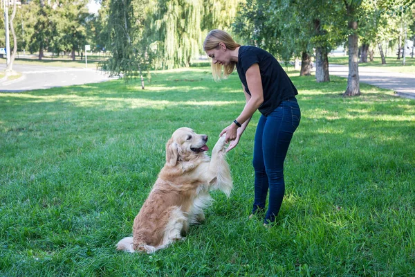 Молодая Женщина Держит Свою Собаку Передние Лапы Концепция Игры Собакой — стоковое фото
