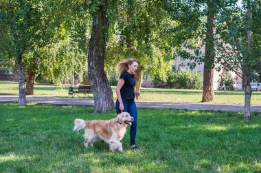 Genç bir kadın av köpeğiyle parkta yürüyor.