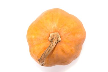 Beyaz arkaplanda kabak izole