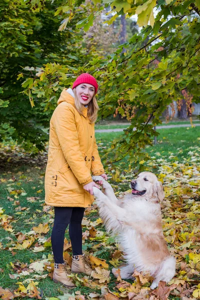 Woman Warm Clothes Holds Retriever Front Paws Yellow Autumn Leaves — Stock Photo, Image
