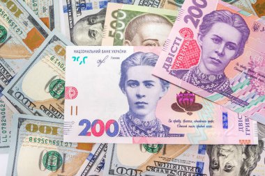 Ukrayna Hryvnia 'sı, Amerikan doları yeni banknotlar. Yakın plan. Finansal geçmiş. Para geçmişi. Değişim konsepti