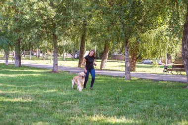 Yaz parkında av köpeğiyle genç sarışın bir kadın..