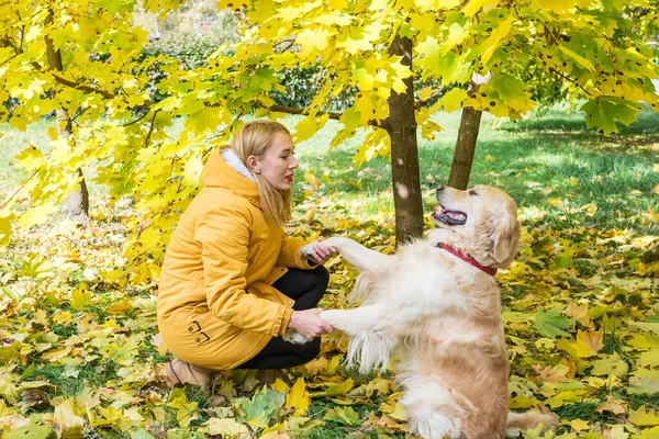 Женщина Своим Ретривером Парке Осенью — стоковое фото