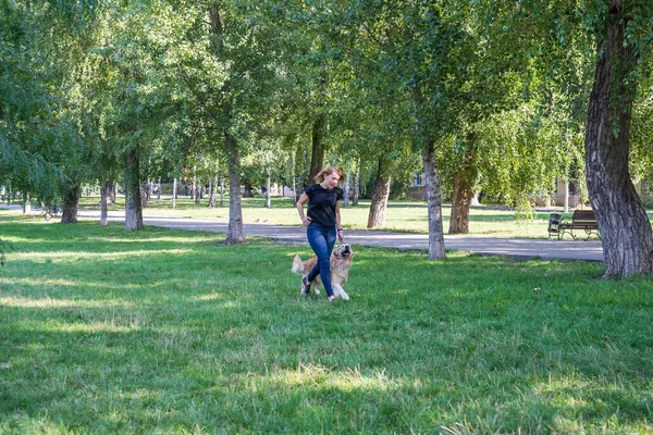 Eine Junge Frau Spaziert Mit Ihrem Retriever Einem Sommerpark — Stockfoto
