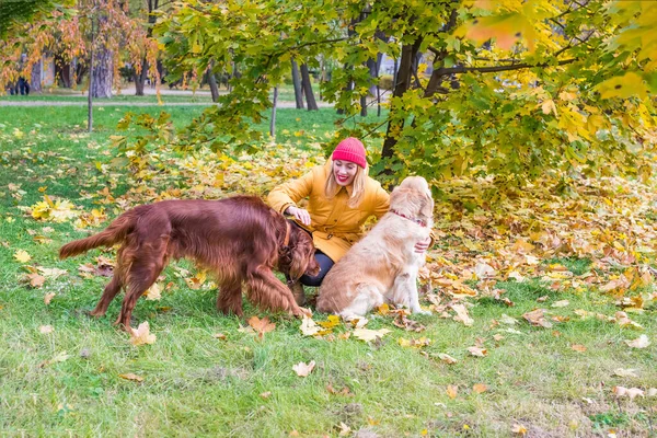 Женщина Двумя Собаками Гуляет Осеннем Парке Общение Знакомство Собаками — стоковое фото