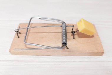 Beyaz arka planda peynirli bir fare kapanı.