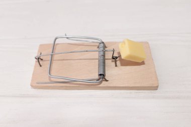 Bir parça peynir beyaz arka planda izole edilmiş bir fare kapanında yatıyor..