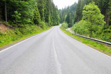 Güneşli bir yaz gününde ormanda yol. Güzel, kıvrımlı bir yol, yeşil yapraklı ağaçlar. Yazın ormanda boş asfalt bir yol olan manzara. Ukrayna Karpatları 'nda seyahat..