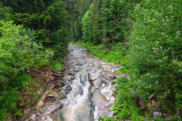 Rivière Dans Les Montagnes Rivière Milieu Forêt Rivière Boueuse Après — Photo