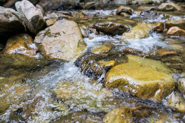 Nehirde taşlarla birlikte dağ suyuna yakın bir yerde. Dağ nehri hızlı suyla ve sudaki kayalık kayalarla ve devasa kayalarla dolu.