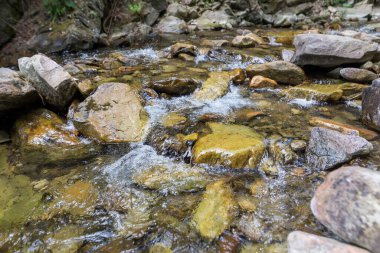 Nehirde taşlarla birlikte dağ suyuna yakın bir yerde. Dağ nehri hızlı suyla ve sudaki kayalık kayalarla ve devasa kayalarla dolu.
