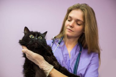 female veterinarian holding a black cat in her arms in the clinic