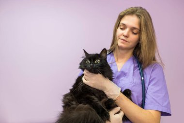 female veterinarian holding a black cat in her arms in the clinic