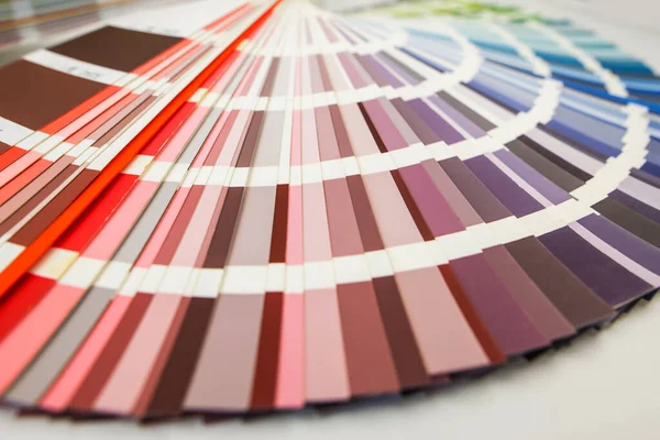 Color guide close up. Assortment of colors for design. Colors palette fan on white concrete wall background. Graphic designer chooses colors from the color palette guide. Coloured swatches catalogue