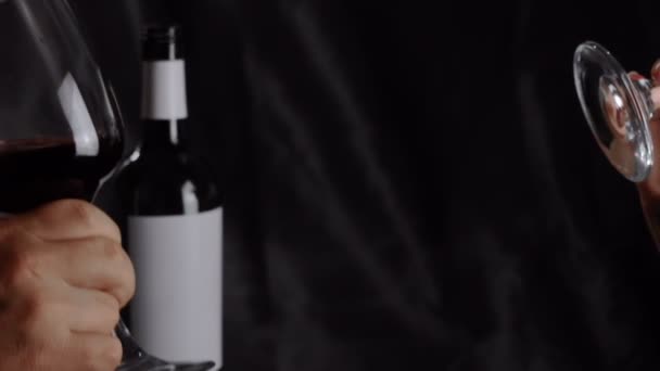 Mão masculina e feminina com copos de taças de vinho. As pessoas estão a beber — Vídeo de Stock