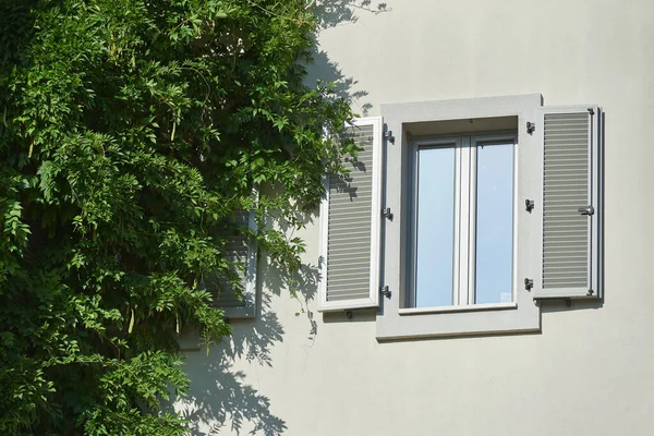 Graue Kunststoff-Fensterläden an einem Wohnhaus mit Kletterpflanze — Stockfoto