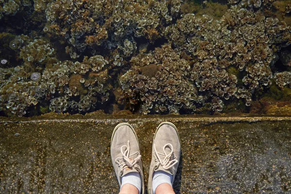 Menschliche Füße stehen am Meer — Stockfoto