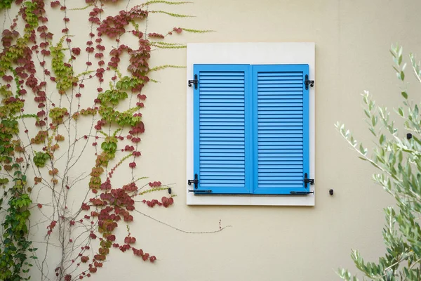 Persianas de plástico azul en un edificio residencial con planta trepadora — Foto de Stock