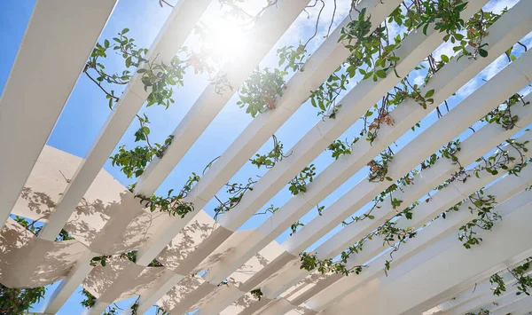 Пергола для літніх терас і захисту сонця. — стокове фото