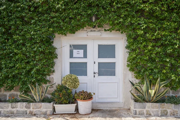 Antigua casa en venta con plantas trepadoras en la pared — Foto de Stock