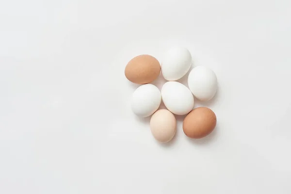 Various chicken eggs on white paper background — Stock Photo, Image