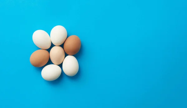 Chicken eggs on blue paper background — Stock Photo, Image