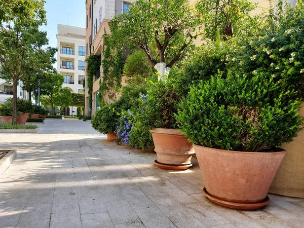 Porto Karadağ 'ın kıyı şeridindeki gezinti caddesi, Karadağ' ın başkenti Tivat 'ın ünlü limanı.