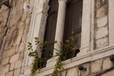 Eski Kotor, Karadağ, Avrupa, Adriyatik denizi ve dağlarındaki tarihi bina