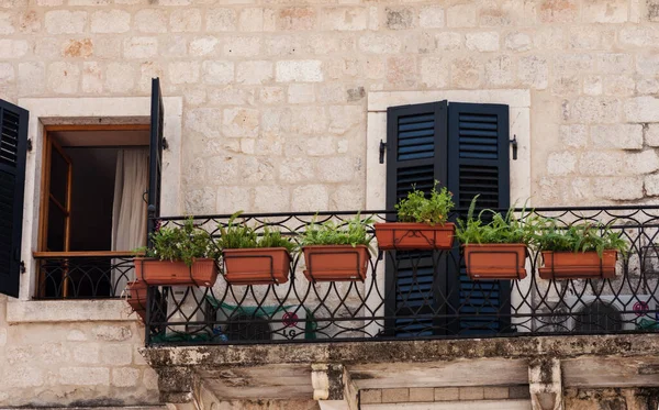 Eski Kotor, Karadağ, Avrupa, Adriyatik denizi ve dağlarındaki tarihi bina