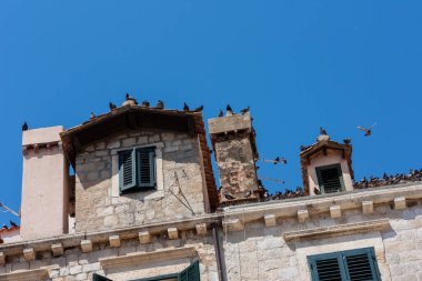 Ünlü kent Dubrovnik, Hırvatistan ve Adriyatik kıyısındaki antik binaların manzarası