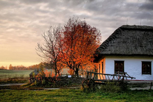 Tarlada eski bir ev, gün batımında kırmızı ağaçla