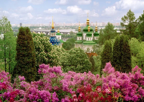 Leylak ağacıyla katedralin manzarası