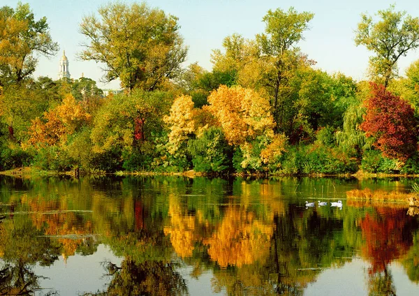 Suya yansıyan sonbahar ağaçları
