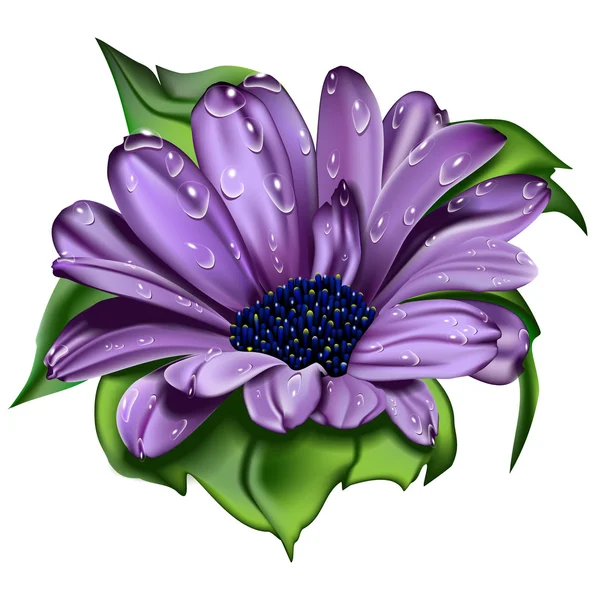 Beautiful violet flower — Stock Vector