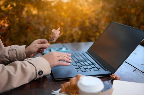 Focus on female holding oak leaf and typing on keyboard of a laptop with copy space on blank monitor screen , while working remotely outdoors in countryside with sunbeams falling through oak trees