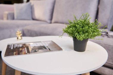 Bir mobilya mağazası galerisinde sergilenen yeşil saksı ve kataloglu beyaz bir günlük masasına ve arka planda döşenmiş bir kanepeye odaklanın.