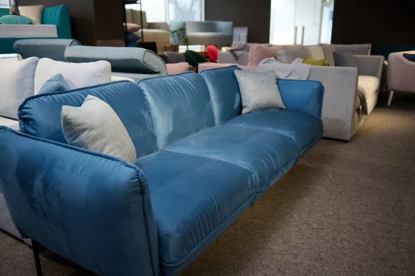 Beautiful minimalist stylish blue velour sofa with light gray pillows, displayed on sale in the furniture store showroom. Exhibition of soft furnishing in the furniture store showroom