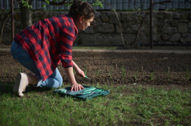 Kadın bahçıvanın kara toprağı gevşetip arka bahçedeki toprağa fideleri ekmek için bahçe küreğiyle küçük bir çukur kazmasının yan görüntüsü.