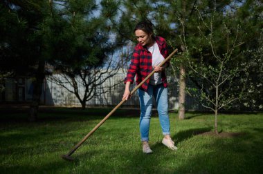 Tam boy, büyüleyici İspanyol bir bahçıvan yerel alanı temizliyor ve güneşli bir bahar gününde çiçek açan meyve ağacının arka planında otları tırmıklıyor.