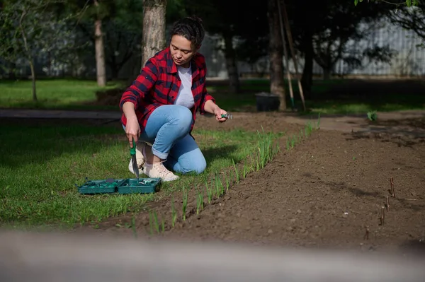 Bahçede çalışan, toprağı gübreleyen ve gevşeten, kazılmış toprağa yeşillikler eken hoş kadın bahçıvan.