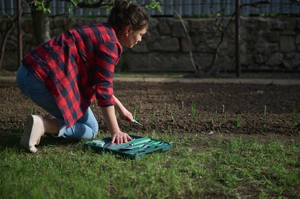 Kadın bahçıvanın kara toprağı gevşetip arka bahçedeki toprağa fideleri ekmek için bahçe küreğiyle küçük bir çukur kazmasının yan görüntüsü.