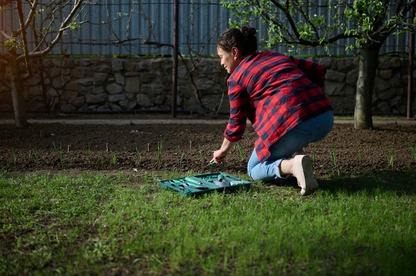Bahçıvan kadın küçük bir çukur kazıyor bahçe küreğiyle kır evinin arka bahçesindeki kara toprağa tohum ekmek için. Bahçecilik ve bahçıvanlık konsepti