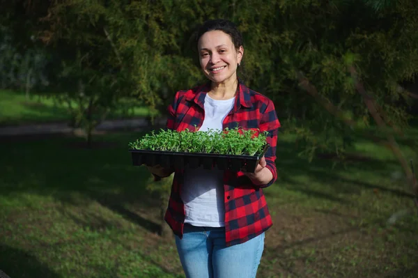 Çok çalışkan, olgun, çok kültürlü kadın bahçıvan elinde roka filizli kaset tutarken gülümsüyor.