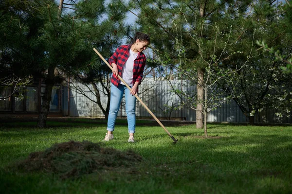 Mujer Joven Jardinero Limpia Área Local Rastrillos Hierba Cortada Montón — Foto de Stock